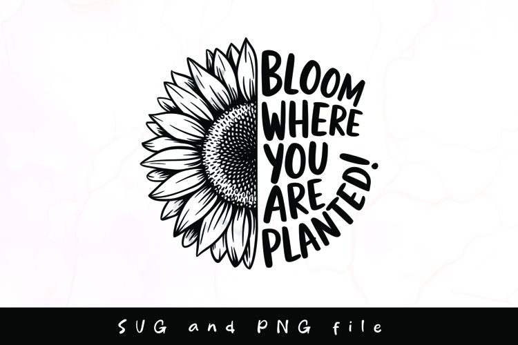 Butterfly Clipart Image 22