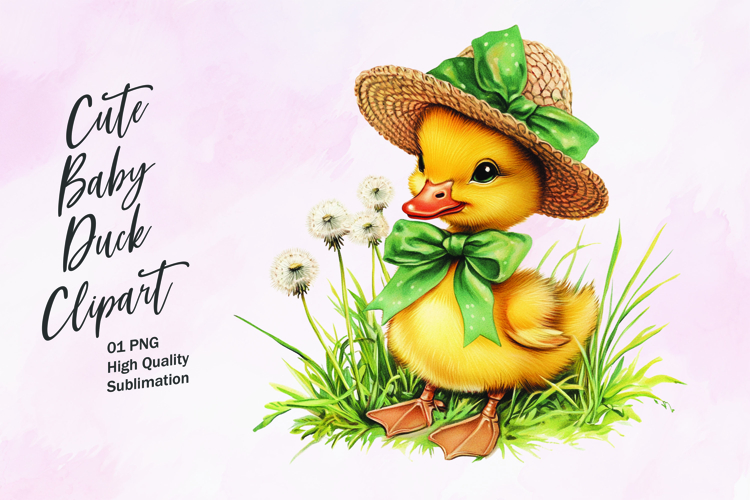 Duckling Png Image 5