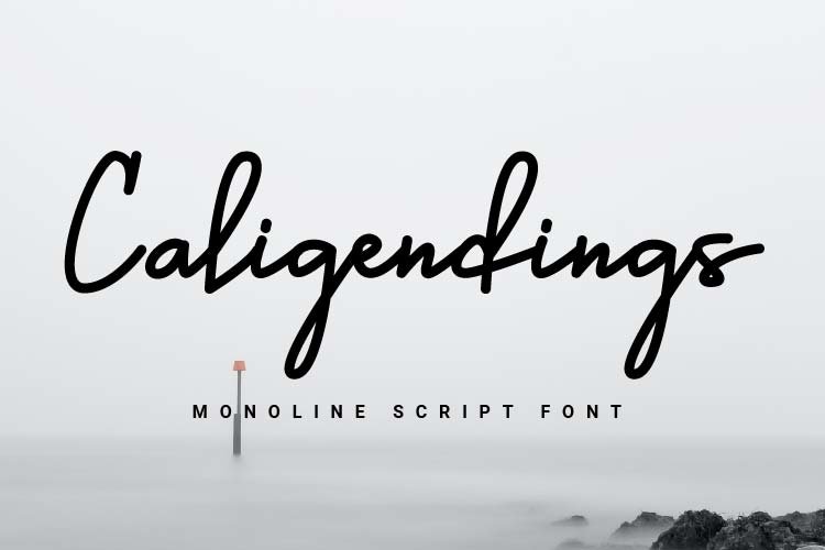 Caligendings - Monoline Script Fonts example image 1