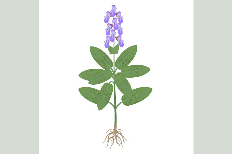 Black Lives Matter PNGs Image 2