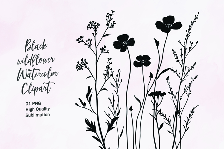 Flower Outline Png Image 20