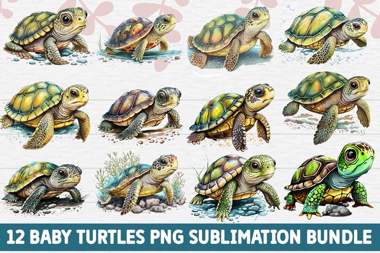 Baby Turtles PNG Sublimation Bundle example image 1