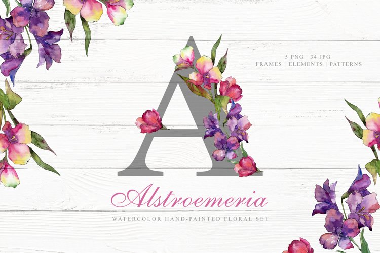 Alstroemeria Watercolor png example image 1