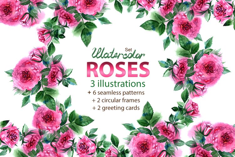 Rose Illustration Image 20