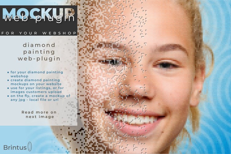Web-plugin Diamond Painting mockup example image 1