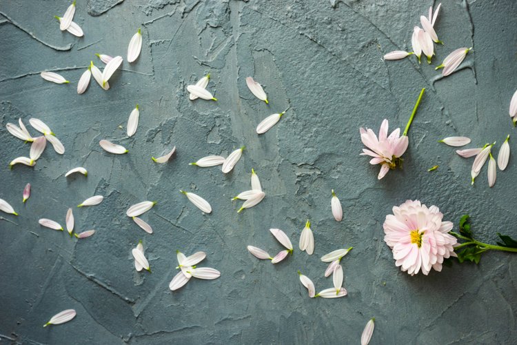 Floral Background Image 15