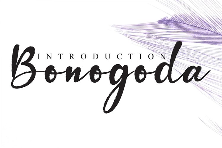 Bonogoda example image 1