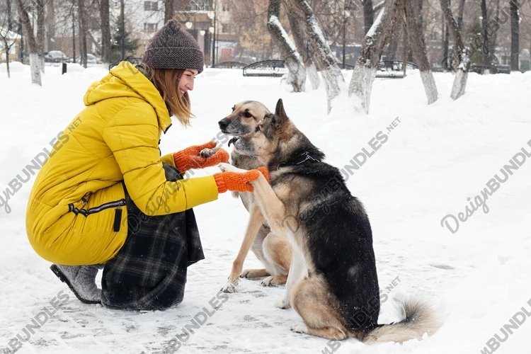 Young woman with her two dogs in a snowy winter park. example image 1