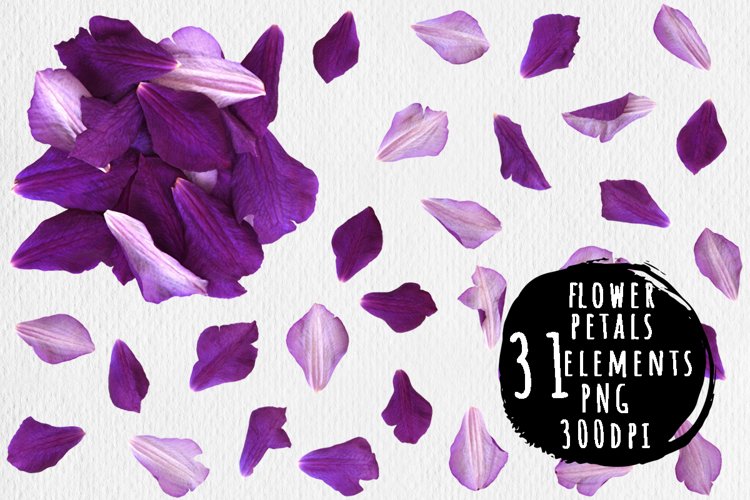 Flower petals example image 1