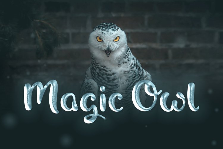 Magic Owl - A nostalgic Typeface example image 1