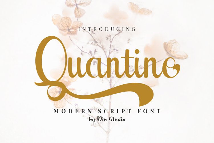 Quantine example image 1