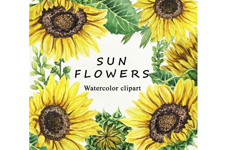 Watercolor Sunflower Clipart Image 18