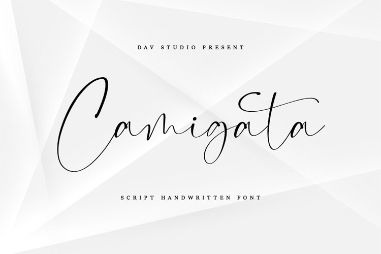 Camigata - Handwritten Font example image 1