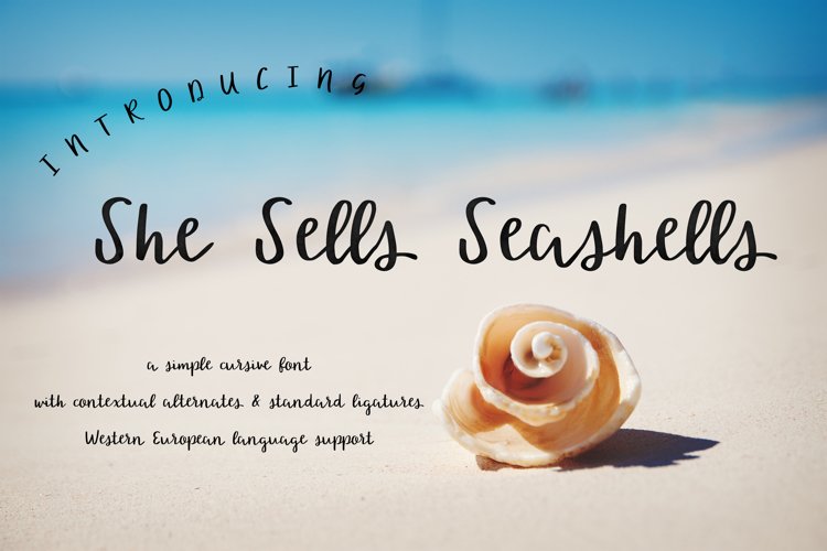 She Sells Seashells Cursive Font example image 1