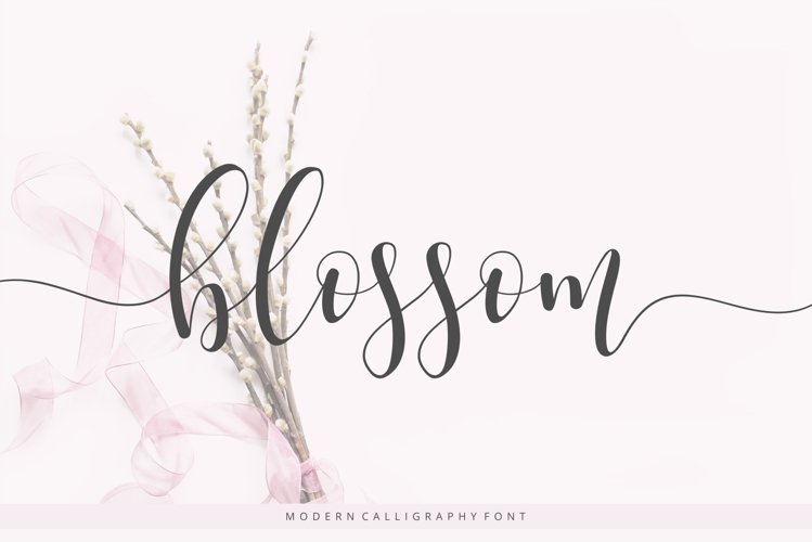 Blossom example image 1