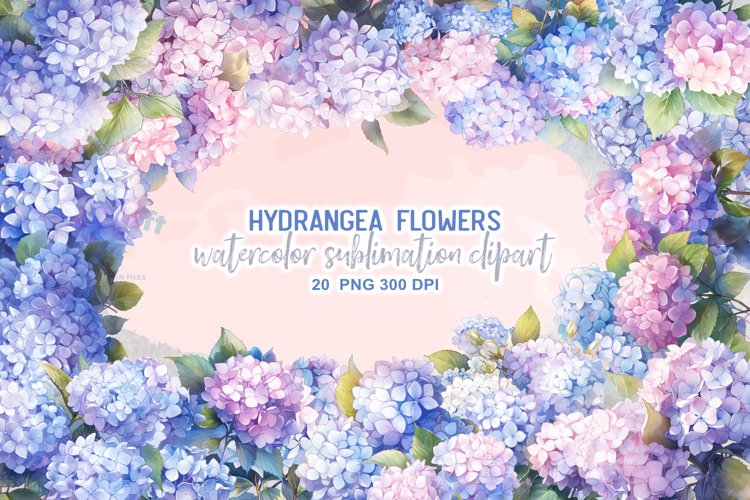 Hydrangea Flowers Watercolor Sublimation Clipart