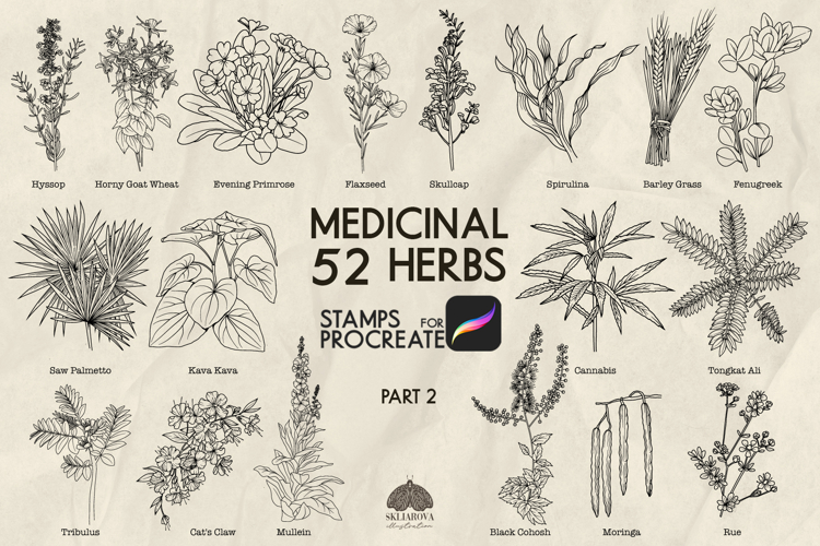 Medicinal herbs Part 2 Procreate stamp brushes
