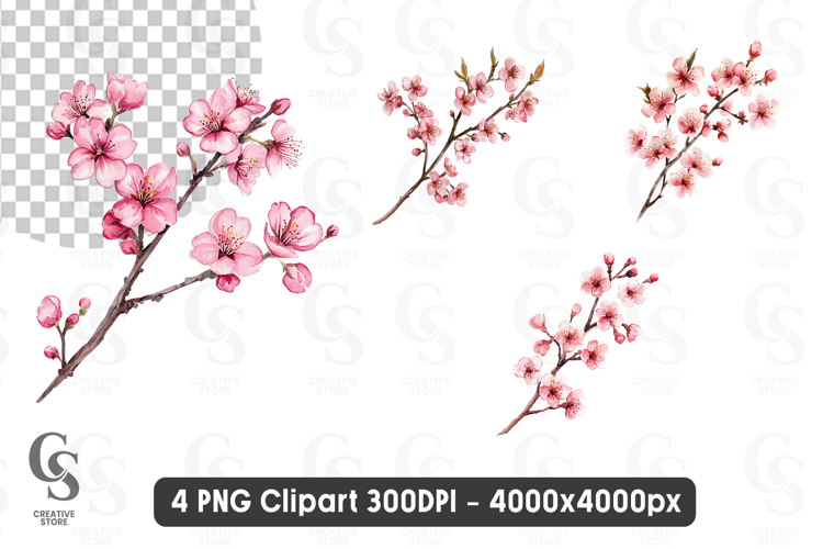 Cherry Png Image 7