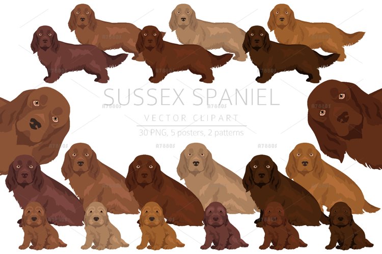 Dog Clipart