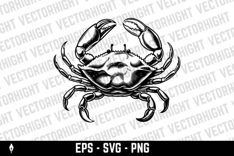 Crab illustrations in vector. Design elements