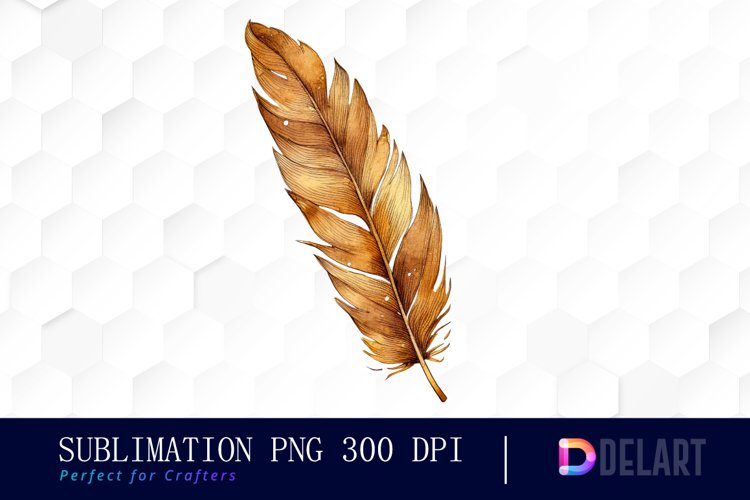 Feather Clipart Image 23