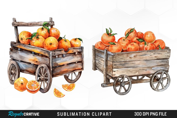 Oranges Clipart Image 20