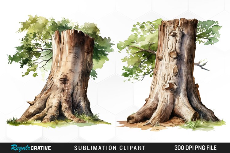 Tree Trunk Illustration PNG Clipart example image 1