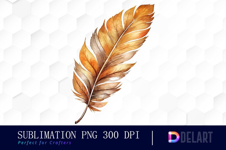 Feather Clipart Image 22