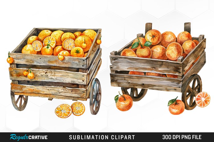 Oranges Clipart Image 22