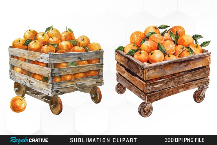 Oranges Clipart Image 21