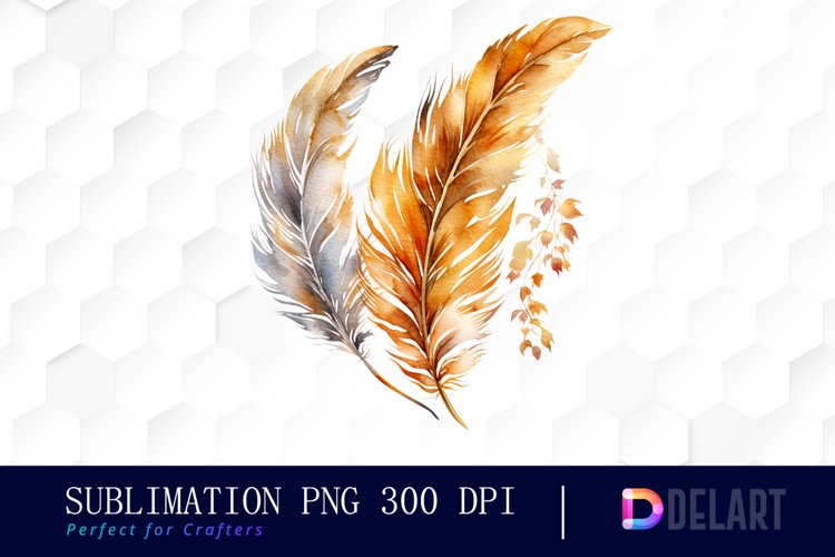 Feather Clipart Image 2