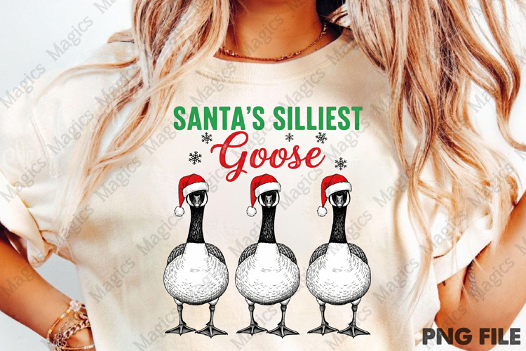 Hand Drawn Christmas Farm Goose PNG