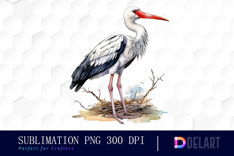 Stork Bird Watercolor Sublimation Clipart