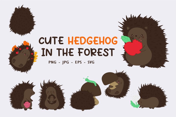 Hedgehog Illustration Image 10