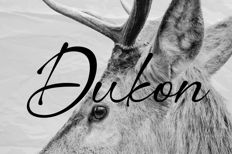Adventure Fonts Image 9