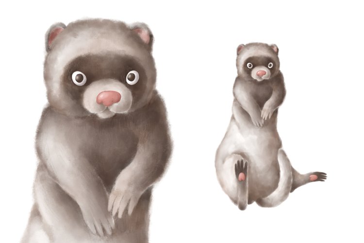 Ferret Clipart Image 13