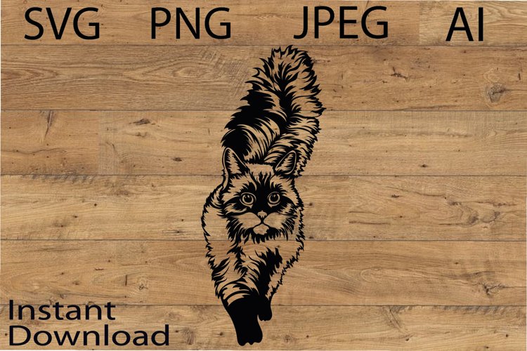 Cute Cat Svg/Png/Jpg/Ai/Vector cat/Pet Svg/The look of a cat example image 1