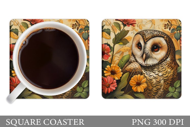 Owl Clipart Image 3