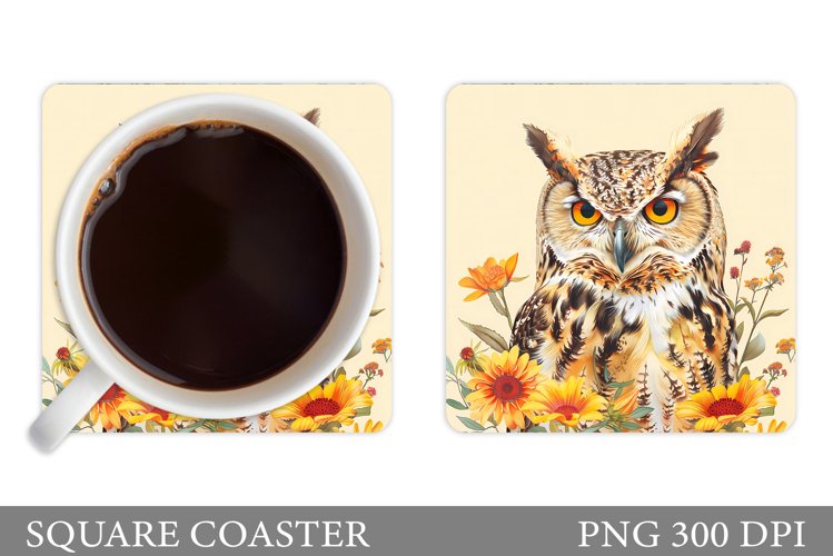 Owl Clipart Image 4