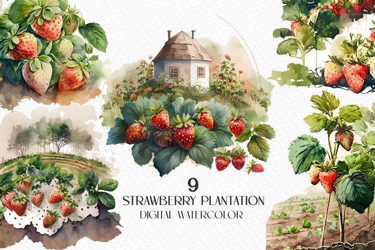 Watercolor strawberry plantation, strawberry field