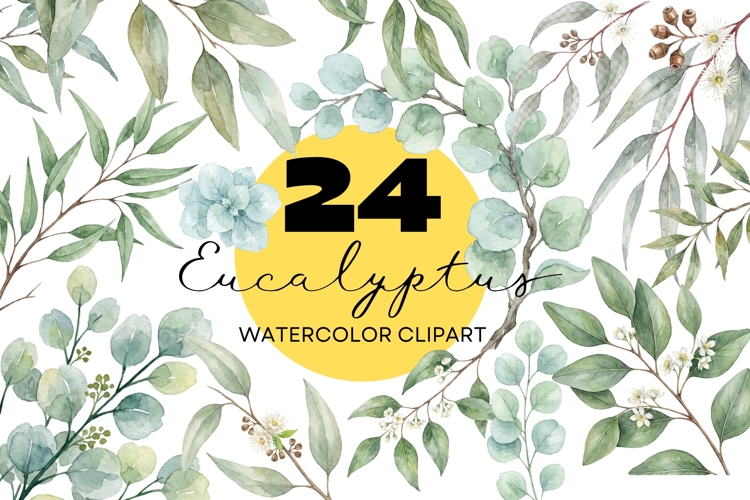 Eucalyptus Clipart Image 2
