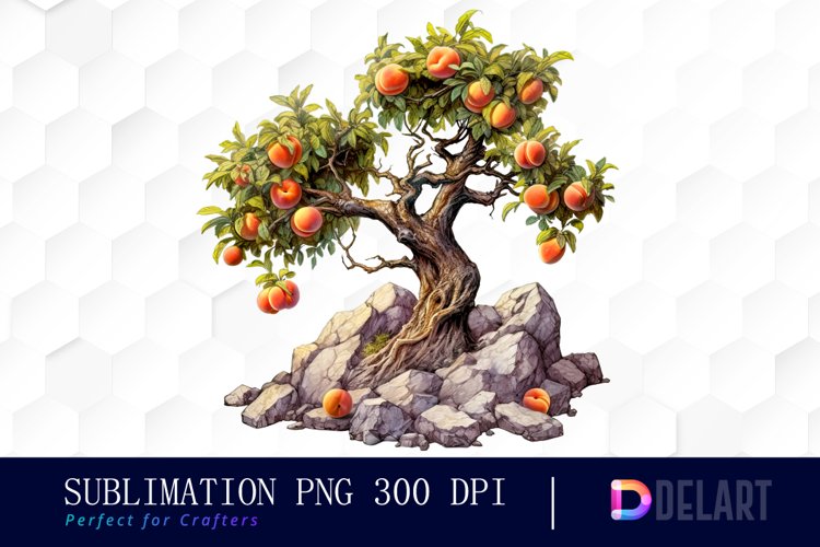 Peach Clipart Image 7