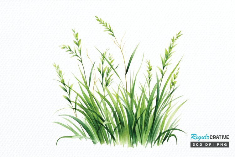 Grass Clipart Image 5