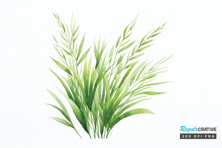 Grass Clipart Image 6