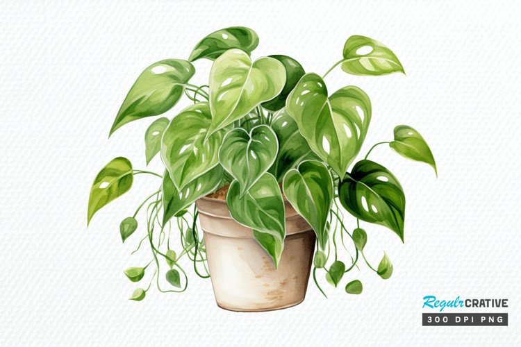 Sublimation Prints Image 14