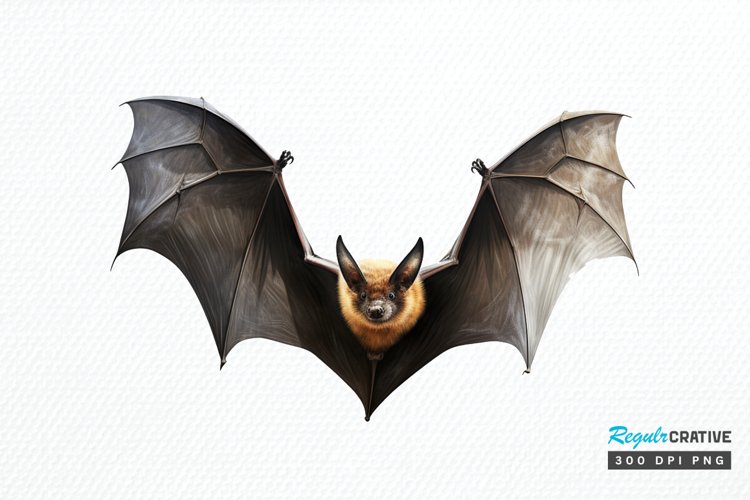 Crafts Clipart Image 12