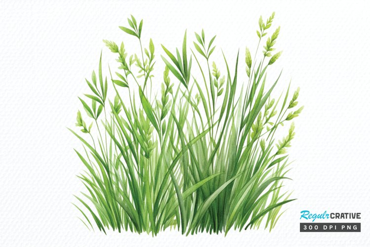 Grass Clipart Image 10