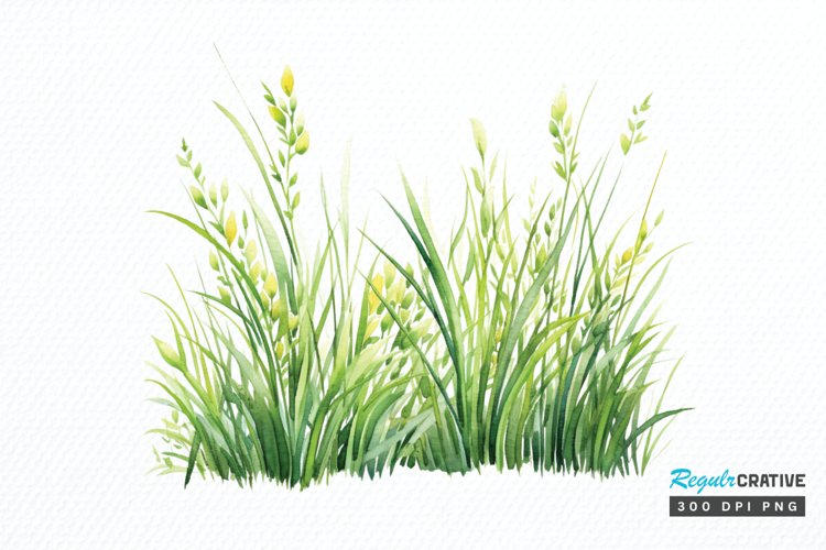 Grass Clipart Image 2