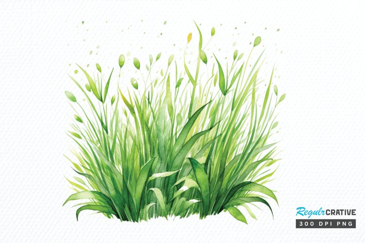 Grass Clipart Image 11