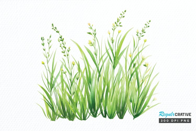 Grass Clipart Image 4